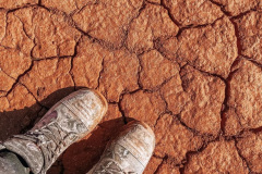 Cracked Earth
