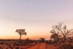 Apollo Hill Landscape